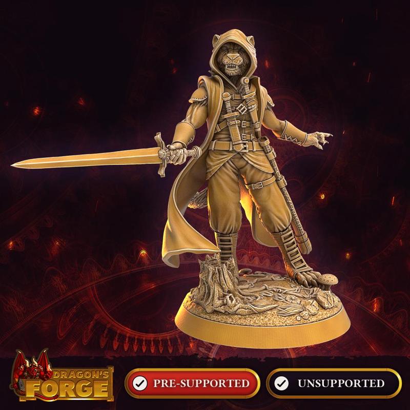 Katmandari Male Thief of the Arachnus Cowl 1