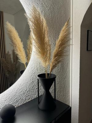 "Timeless" The Vase