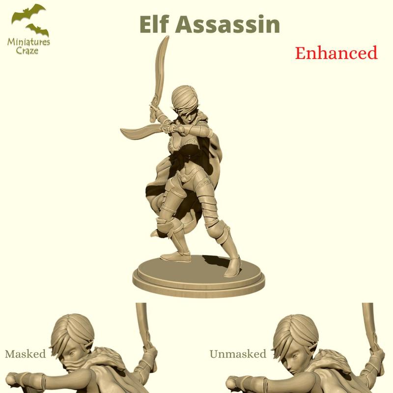 Elf Assassin