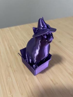 Witch hat cat in a box