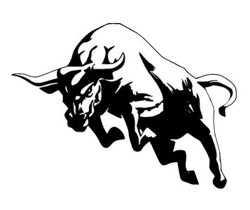 2D Bull