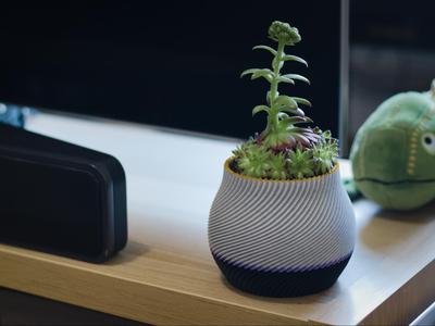 Designer Plant Pot - Spiral Vase