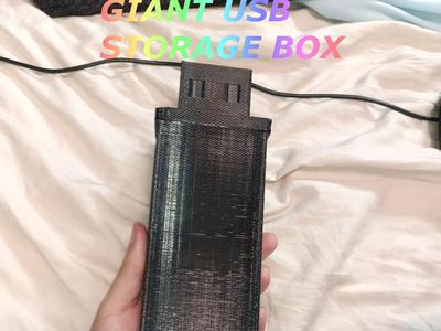 GIANT USB Usb Storage Box