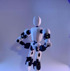BuddyBot [Print In Place] Articulated Dummy