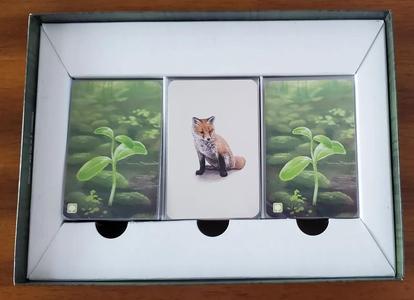 Forest Shuffle box divider   