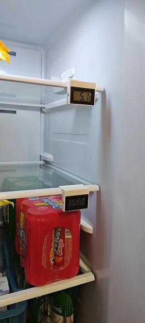 Fridge thermometer holder   