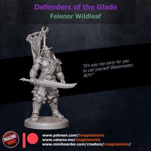 WP - Defenders Of The Glade - Felenor Wildleaf