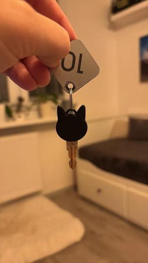 Key Repair (Cat Head)   