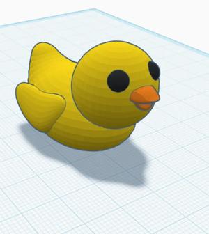 Duck   