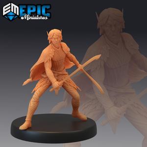 Fey Elf Spring Dual Sword / Male Forest Warrior / Fairy Elvish Tribe