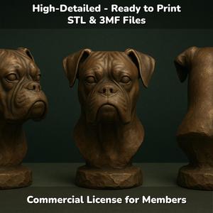 Boxer Dog Bust - 3D Printable STL 3MF File - Pet Memorial Statue - Dog Model Download