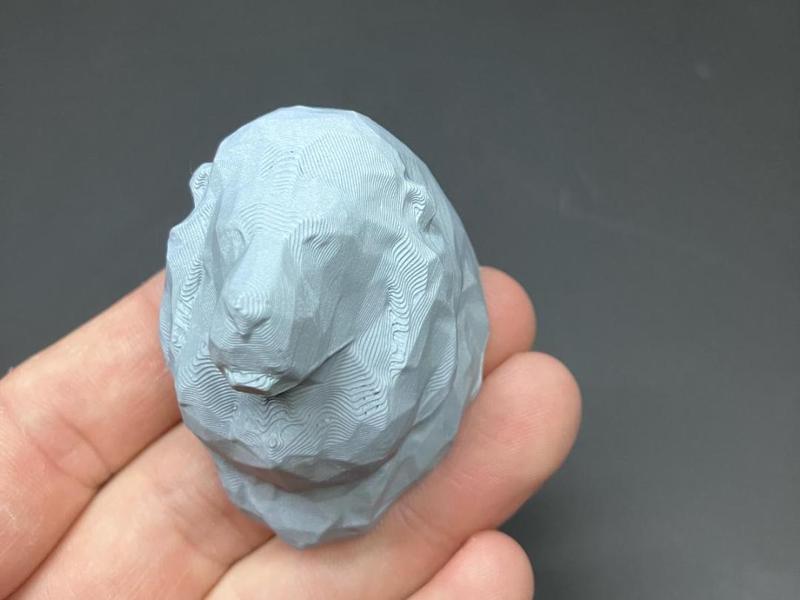 Lion Head Magnet