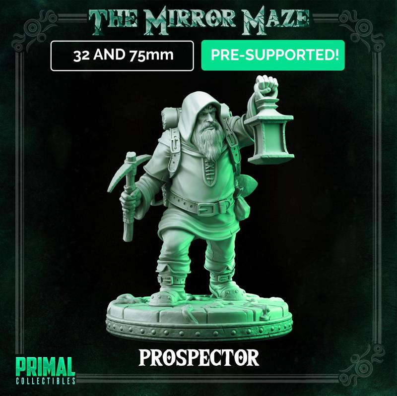 Prospector - THE MIRROR MAZE - MASTERS OF DUNGEONS QUEST