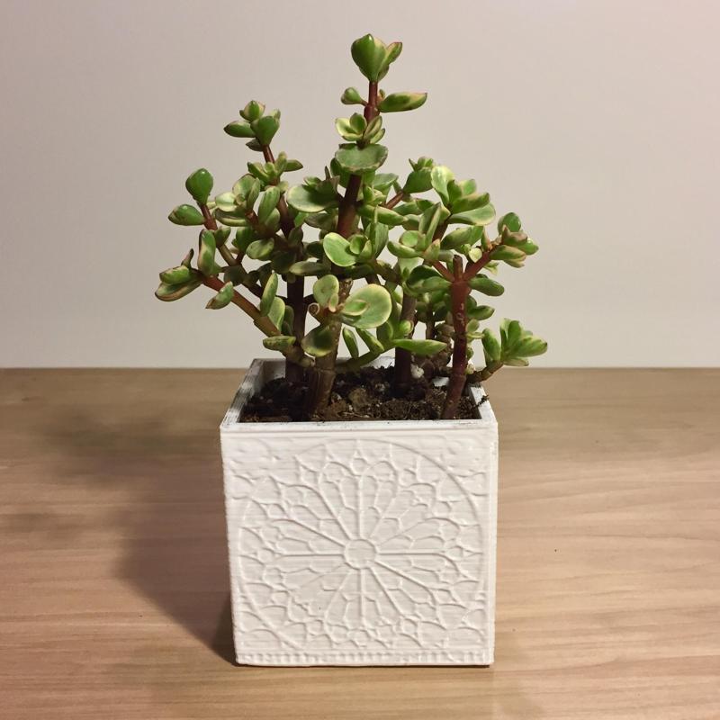 Rosette Planter
