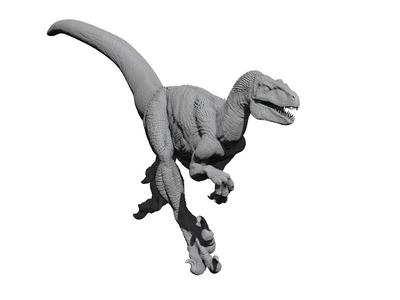 Velociraptor