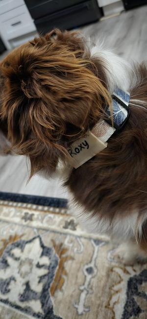Dog tag