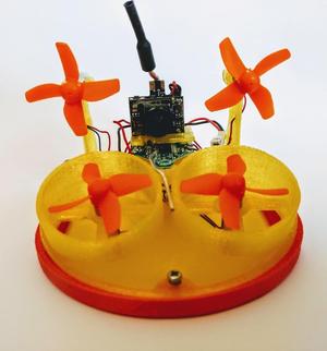 Tiny Transformer: Tiny Whoov 