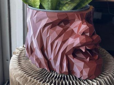 Chewbacca Head 190mm Vase