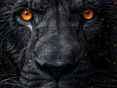 The Beast