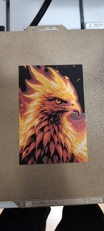 Phoenix 10x15cm - hueforge