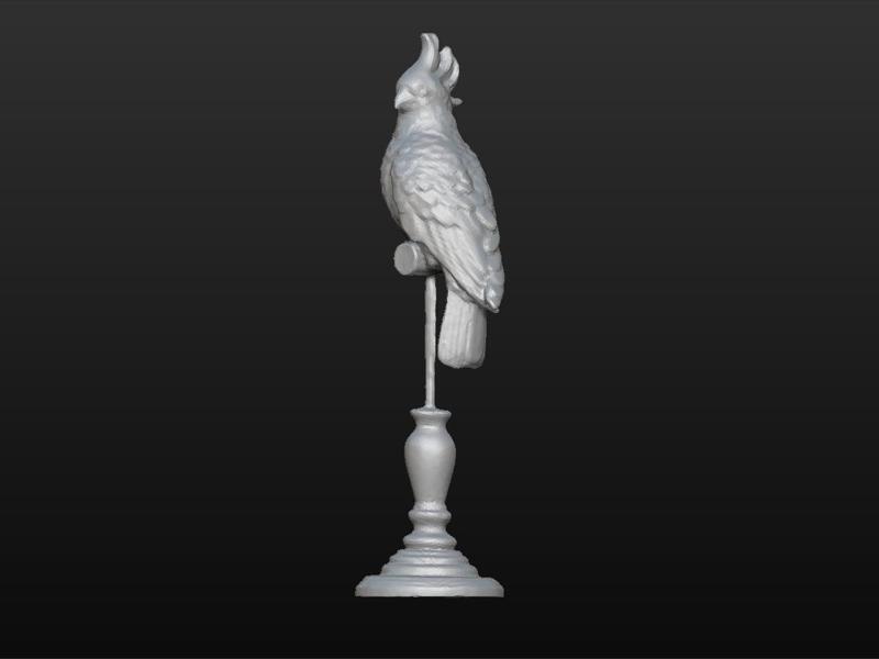 parrot -decorative parrot