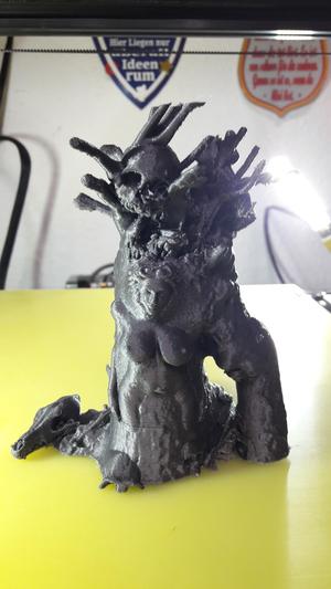 Hexen Baum  witch tree