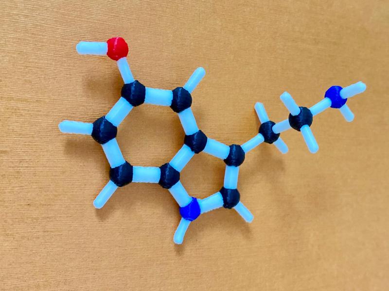 Chemically Accurate Serotonin