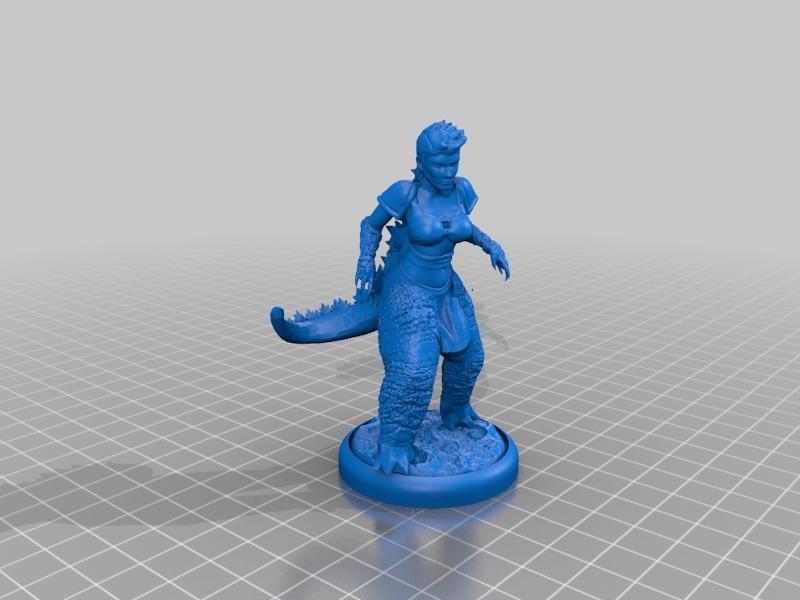 Goji, Dragonborn Barbarian - D&D Mini - V.2