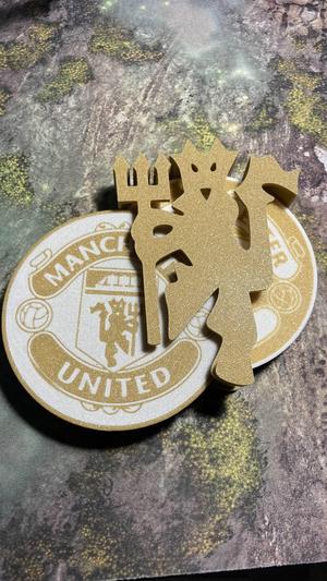 Manchester United coaster + case