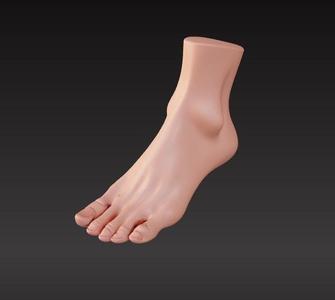 foot