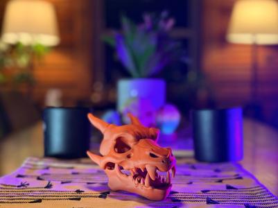 Charizard Skull Fossil (Clean)