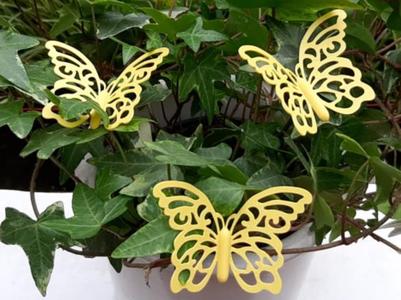 Butterflies with Pin