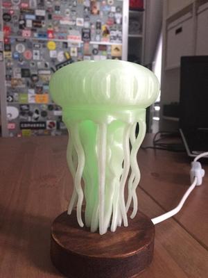 Jellyfish lamp
