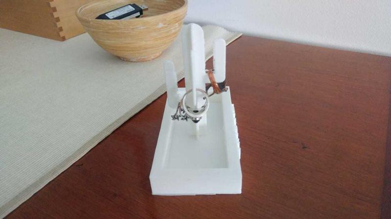 Jewerly box, cactus, jewerly, rings.