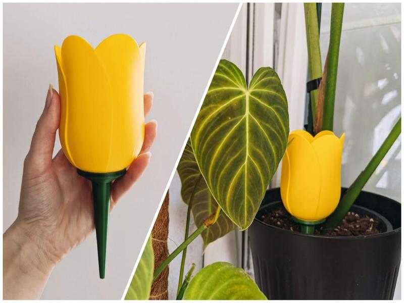 Plant watering tulip