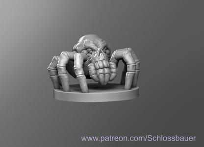 Spider skull