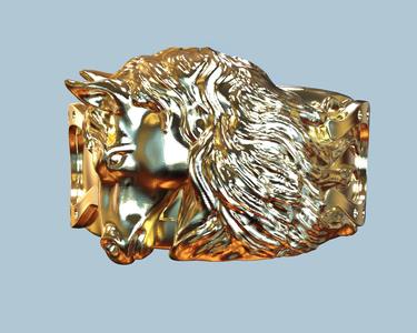 horse ring