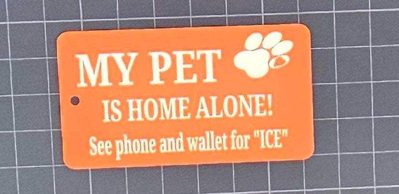 In case of emergency pet keychain