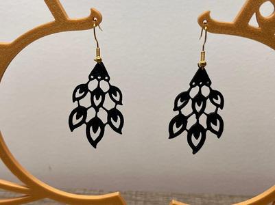 Earrings Fashion