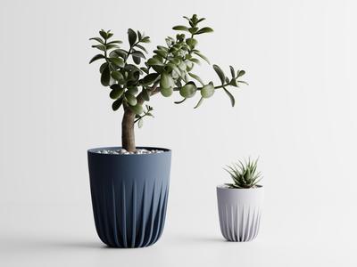 Plant Pot Aurea