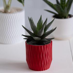 LINES crossed flowerpot