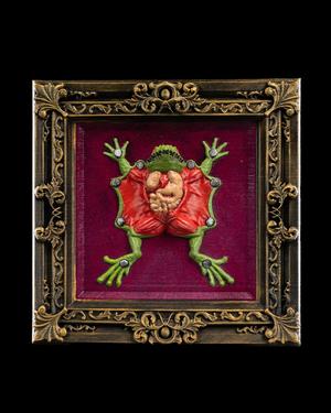 Dissected Frog