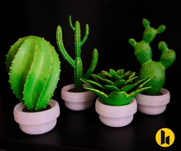 Multiple Cactus Home Decor - No support needed