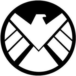 SHIELD wall decoration
