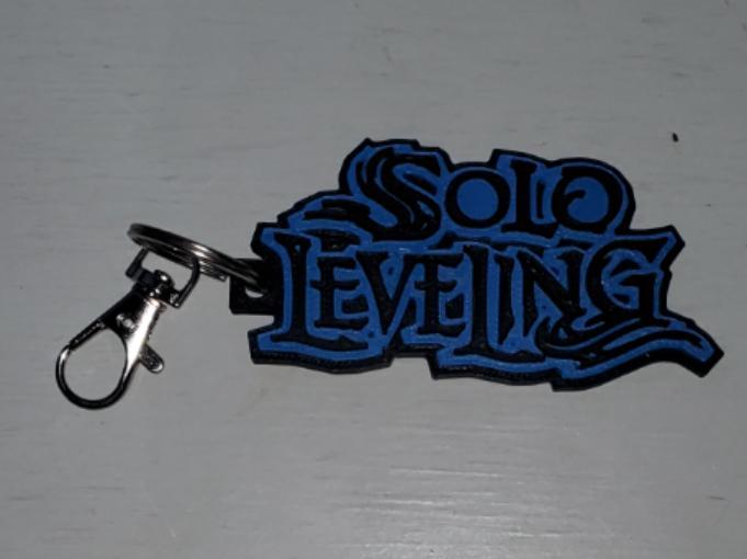 Solo Leveling Tag
