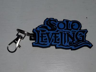 Solo Leveling Tag