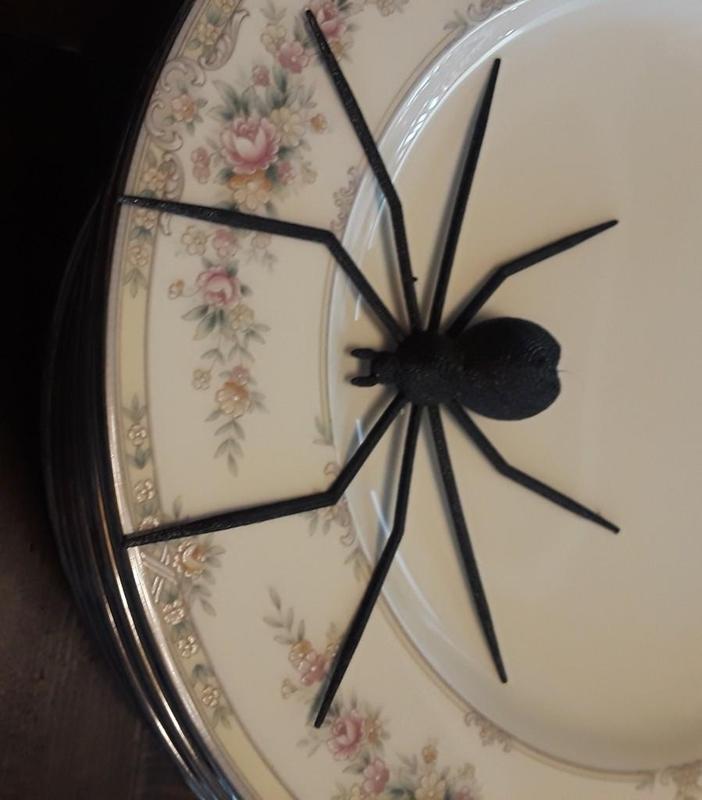 Crazy Spider