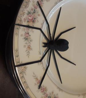 Crazy Spider