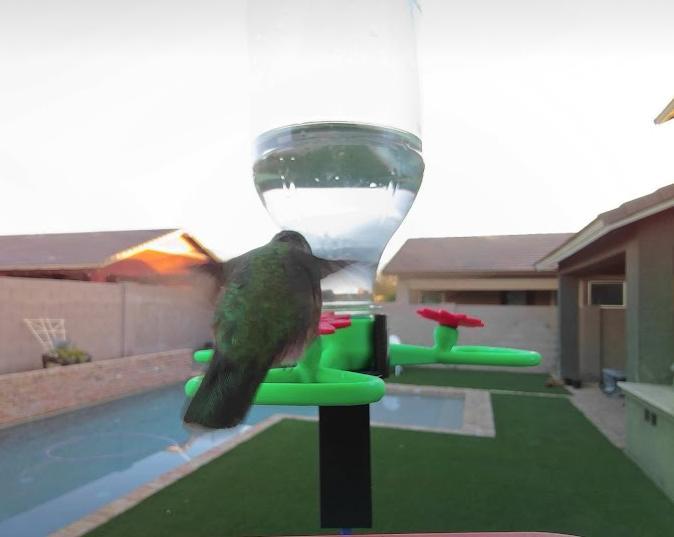 Hummingbird attachment for Bird Buddy