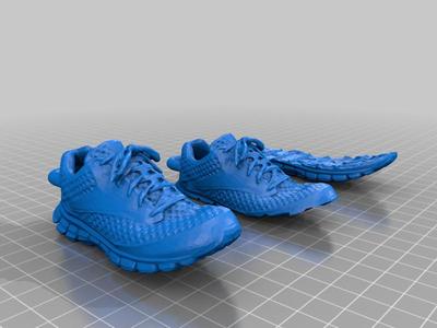 The Everything Shoe